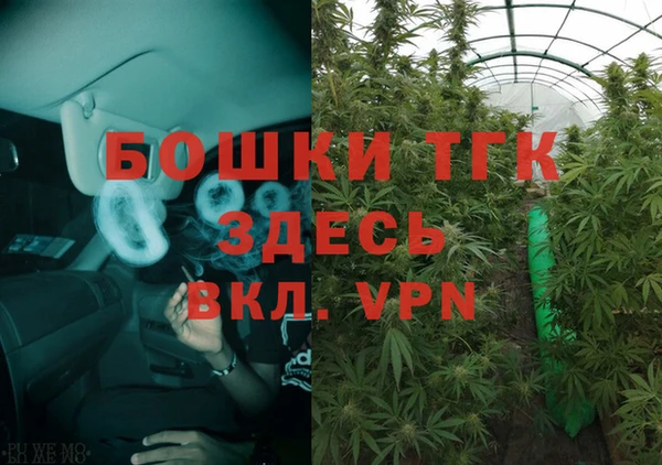 СК Богородицк