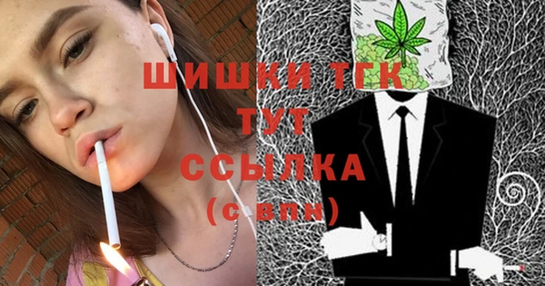 СК Богородицк