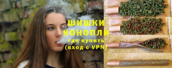 СК Богородицк