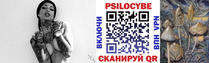 Галлюциногенные грибы Psilocybe Нарткала